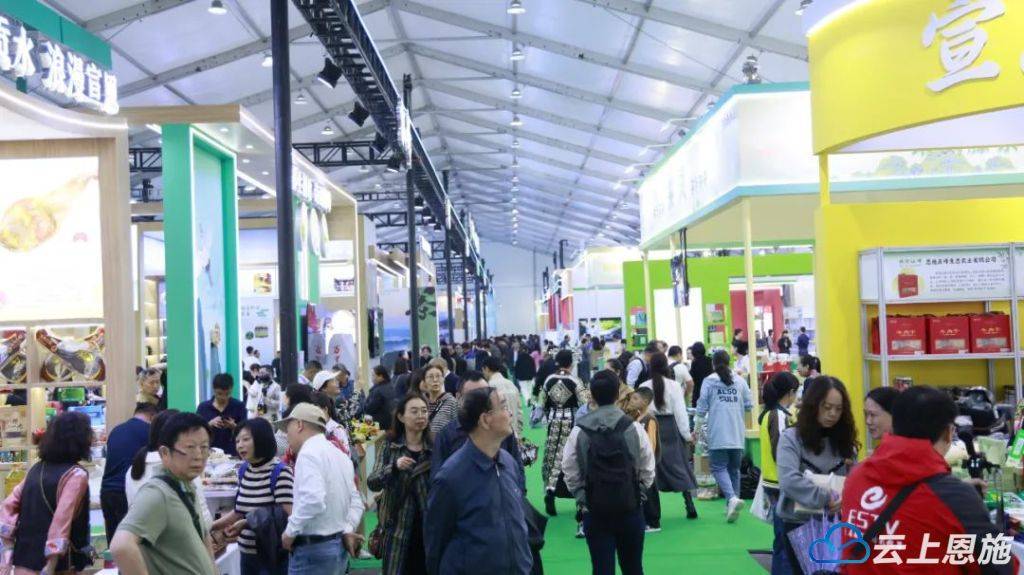 恩施州人民政府党组成员孔发阶,湖北省电子商务行业协会会长闫顺山