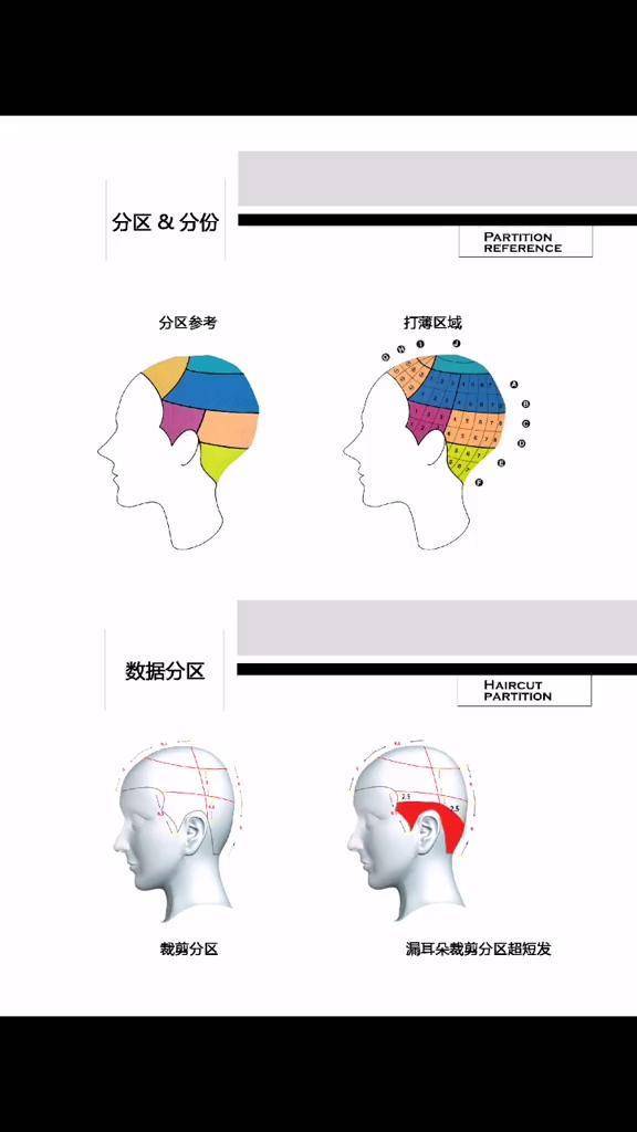 剪发分区技术分解图片