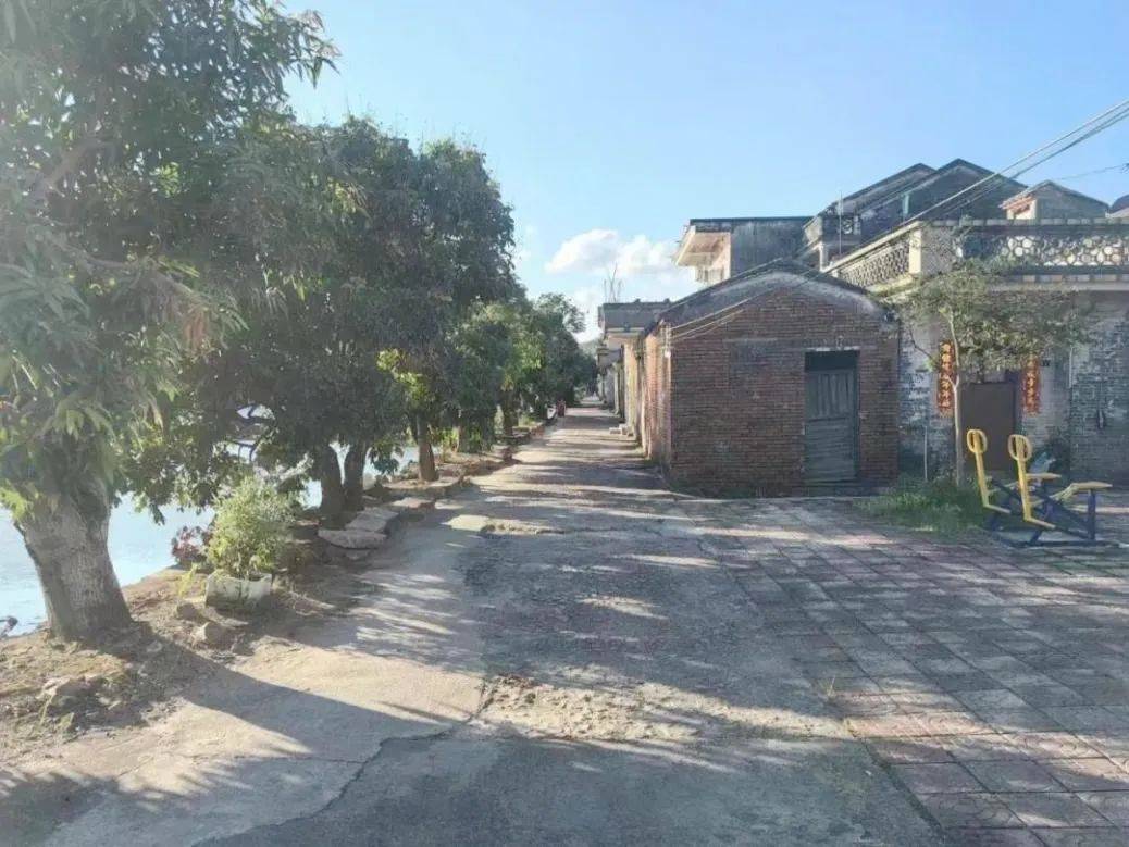 新会区古井镇人大:保护与传承并重,助力慈溪古村焕发新生机