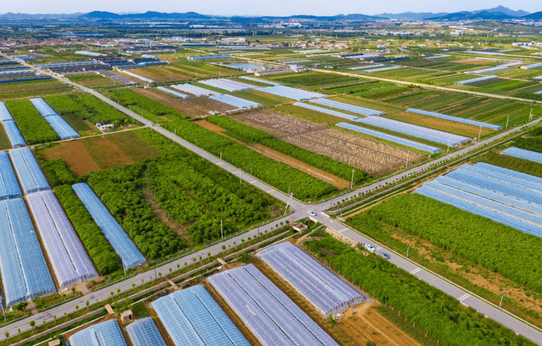 金普新区"四好农村路"建设再添殊荣!