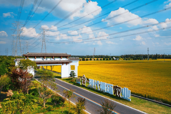 江苏太仓打造“四好农村路” 绘出乡村振兴新画卷