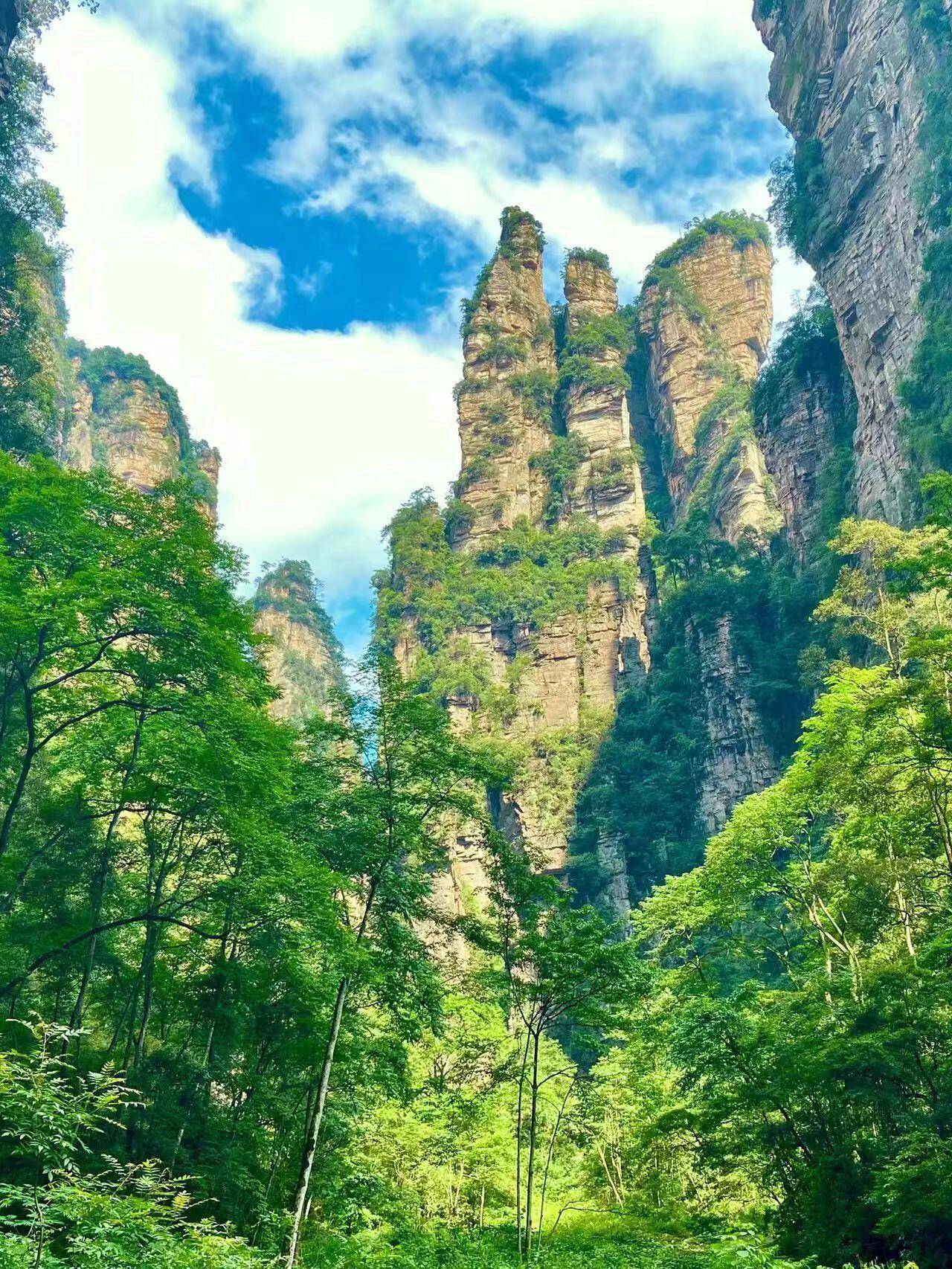 长春一日游旅游团_长春省内旅游团_长春旅游团