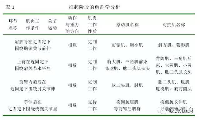 肌梭和梭内肌的关系图片