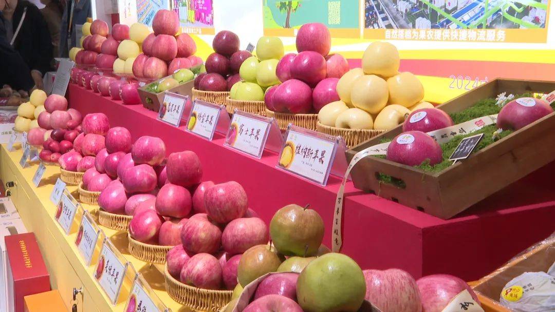 第31届中国杨凌农高会开幕 黄陵县30余种农特产品参展