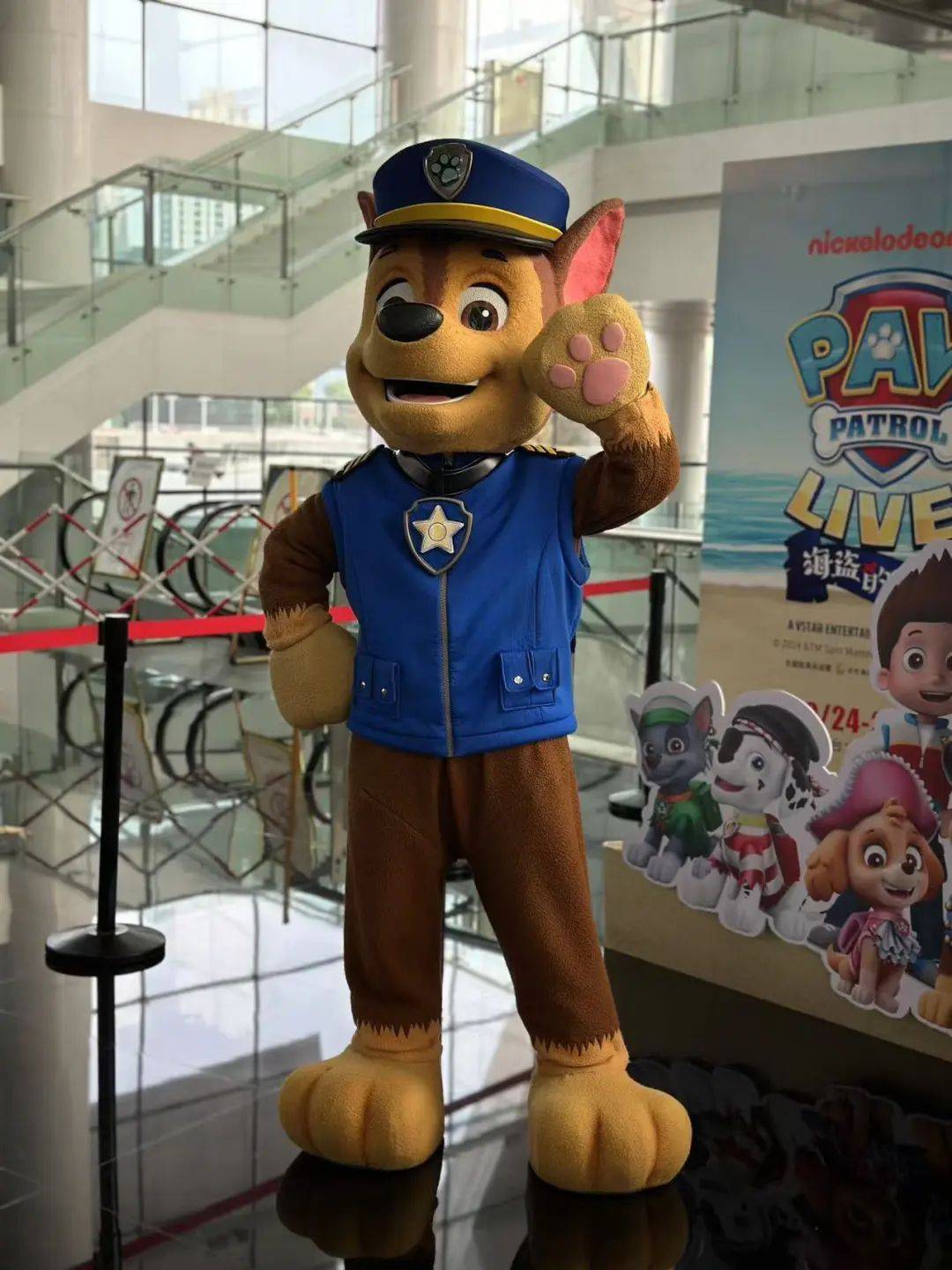 阿奇_救援_主题