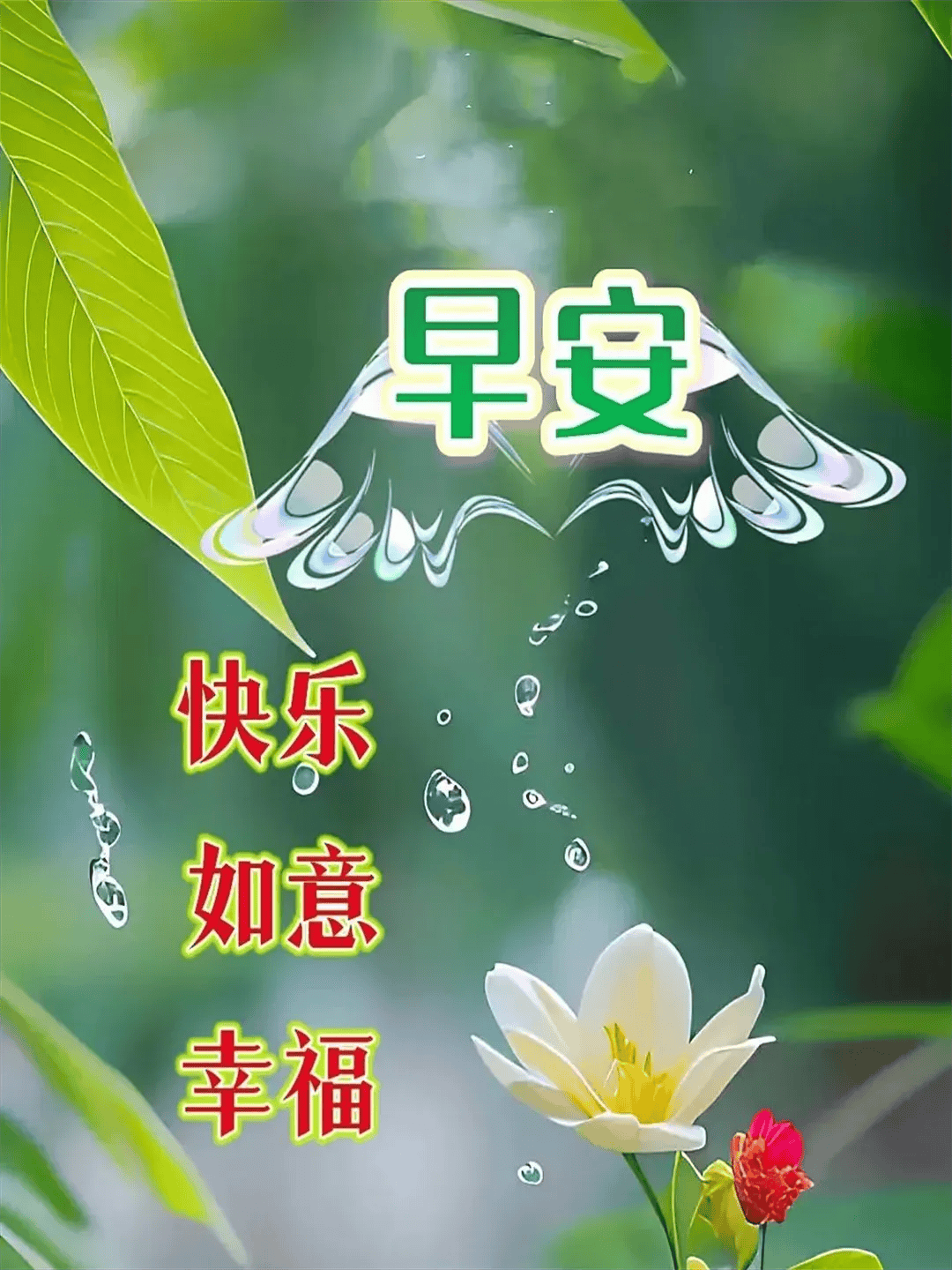 10月28日最漂亮早上好动态表情图片大全,早晨好动图美图大全