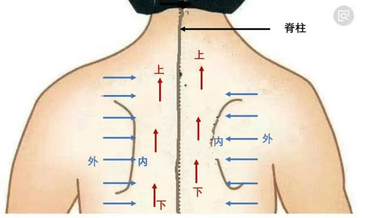 拍背排痰的手法图片