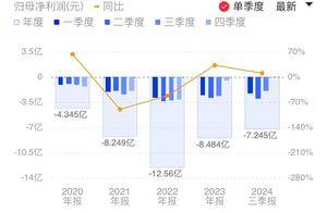 存货环比暴增超300%！AI芯片龙头Q3亏损收窄 多支指数基金加仓