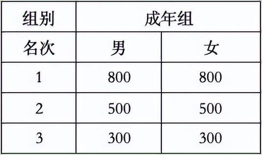 中国飞镖竞赛规则图片