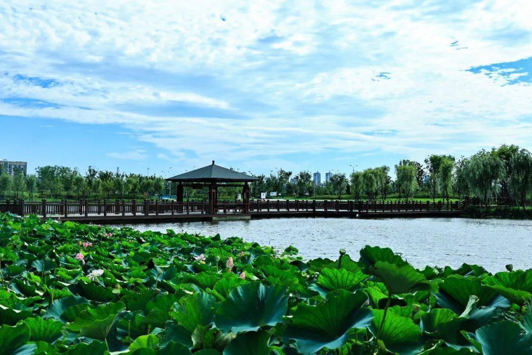 智启绿美 绘梦濡须丨无为市东部新城站前公园及广场