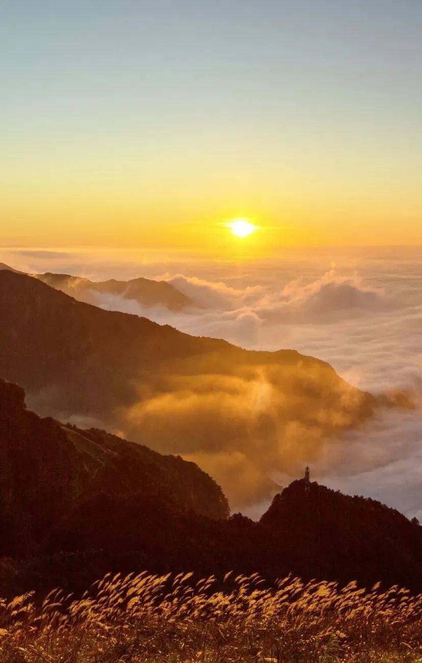来江西,追光吧!_沙海_庐山_子花