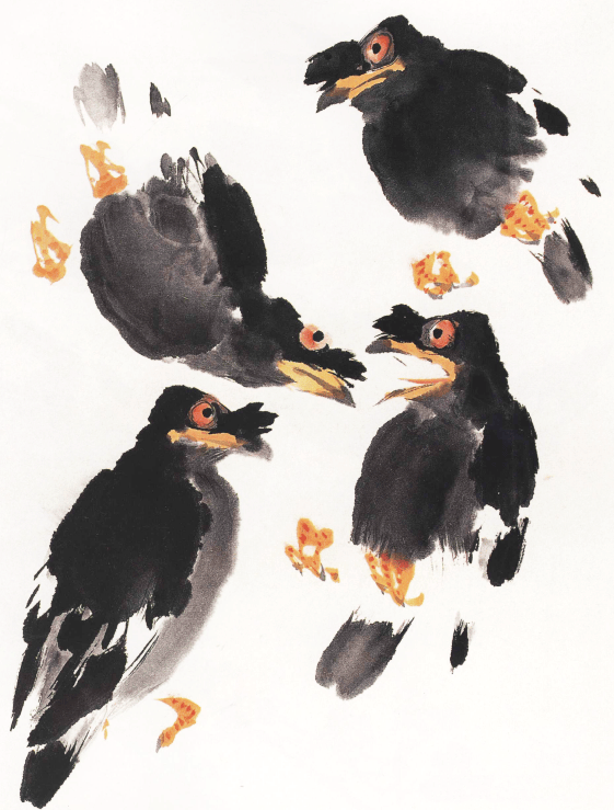 名家教你学国画:萧朗先生示范写意禽鸟画法_八哥_背部_白色