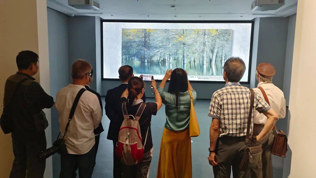 展览现场作品展示 李钊 摄将二维平面作品变身为"三维影像" 张双双 摄