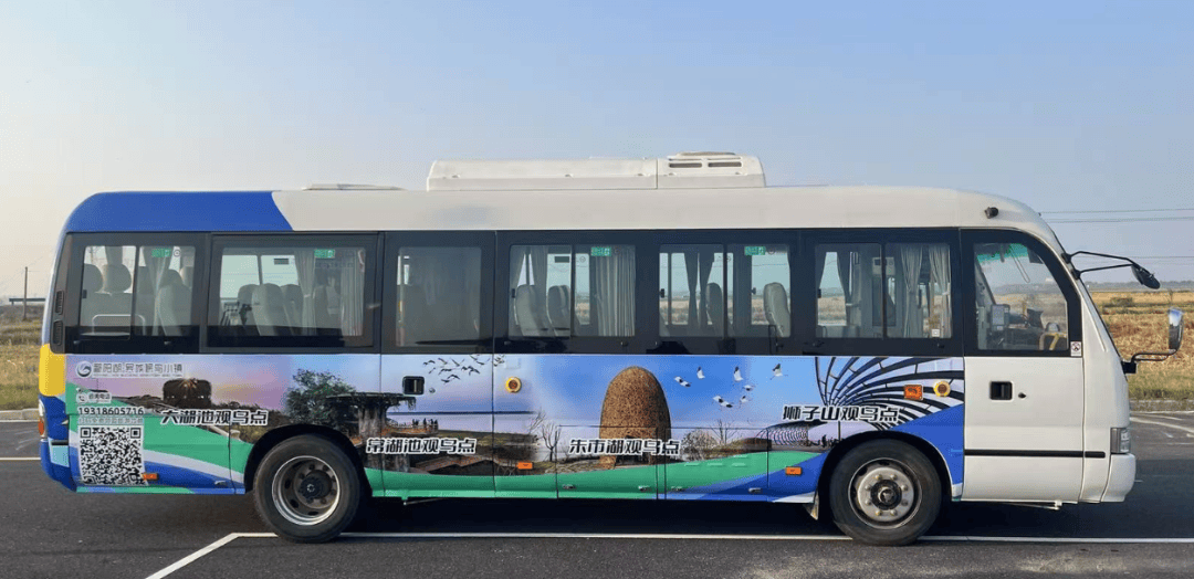 吴城景区专属公交开通啦!观候鸟,游古镇一日游全攻略