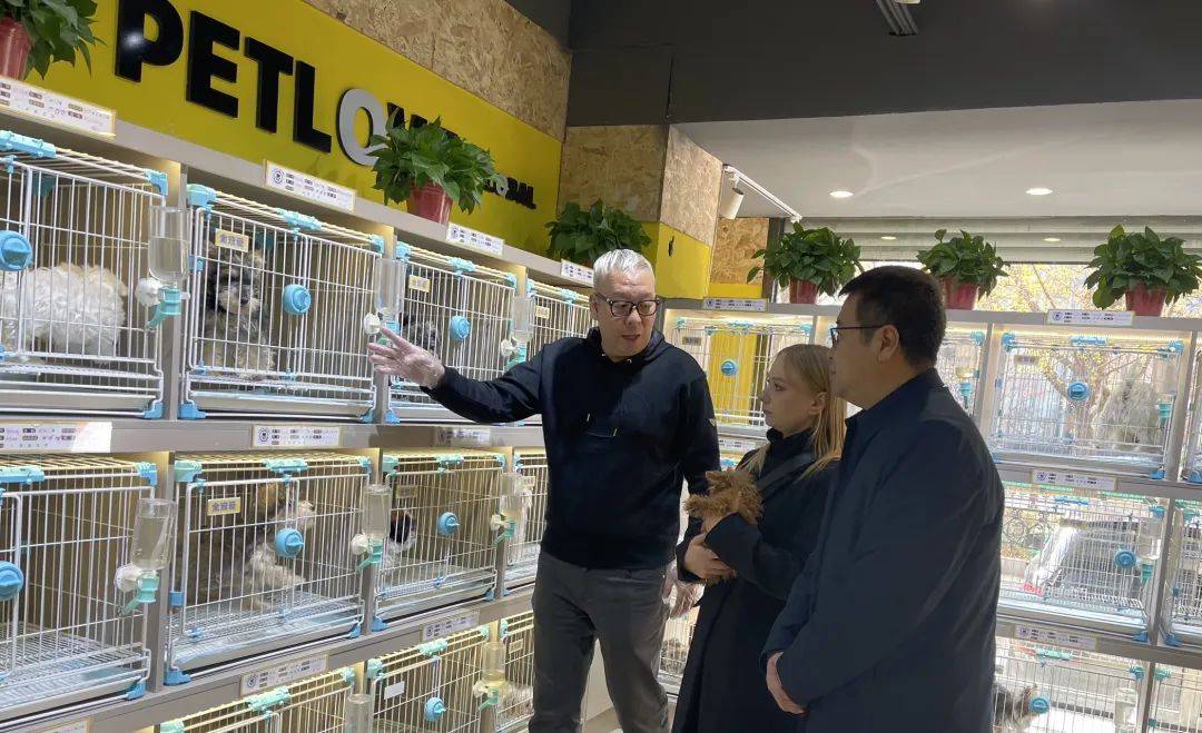 【最新资讯】"外眼看鞍山" 外籍师生走进鞍山宠物市场