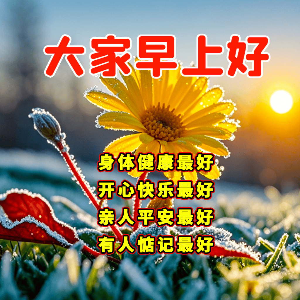 11月6日最漂亮早上好动态表情图片大全,早晨好动图美图大全
