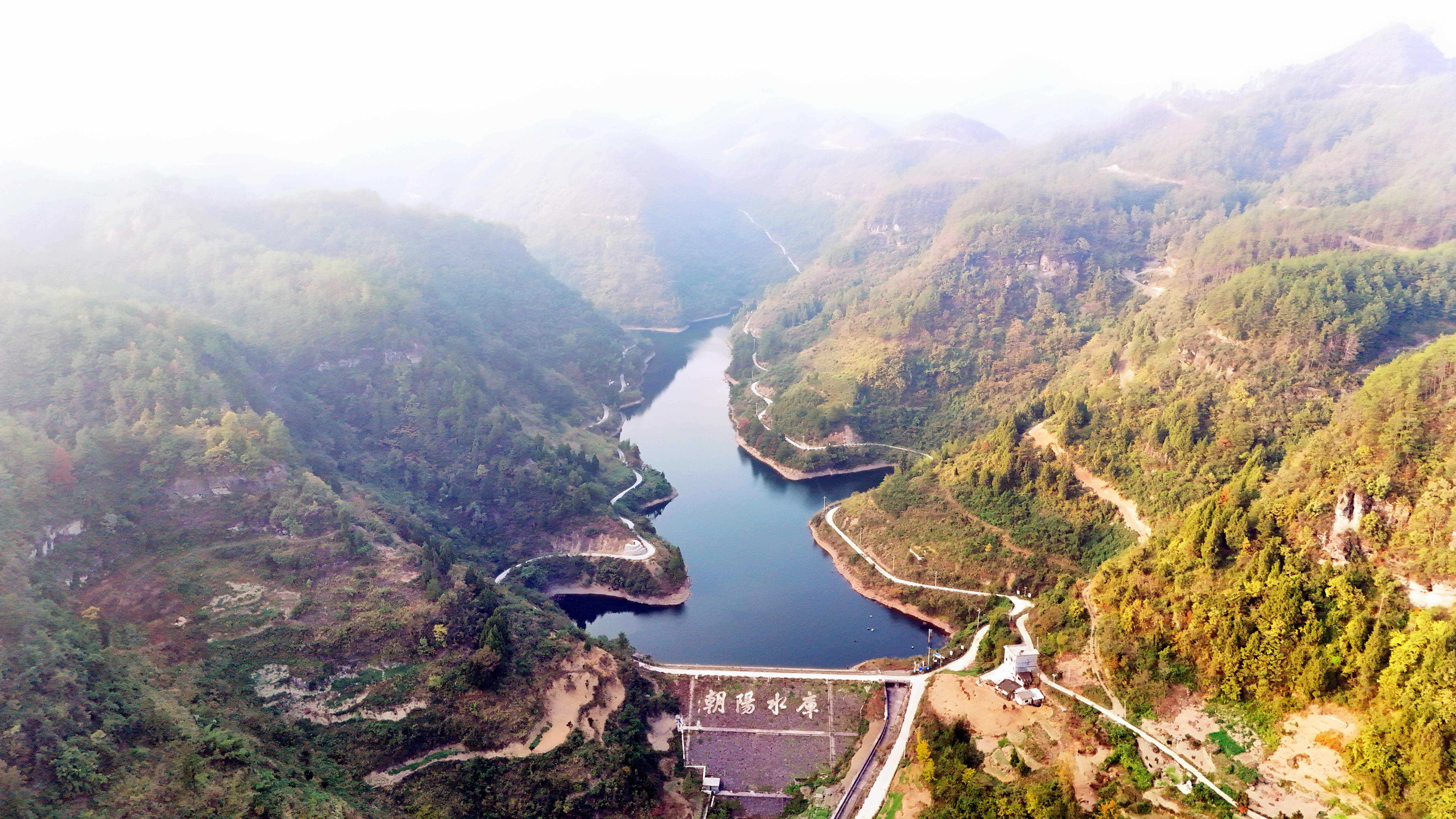 印江:生态持续向好 野生鸳鸯成群集结