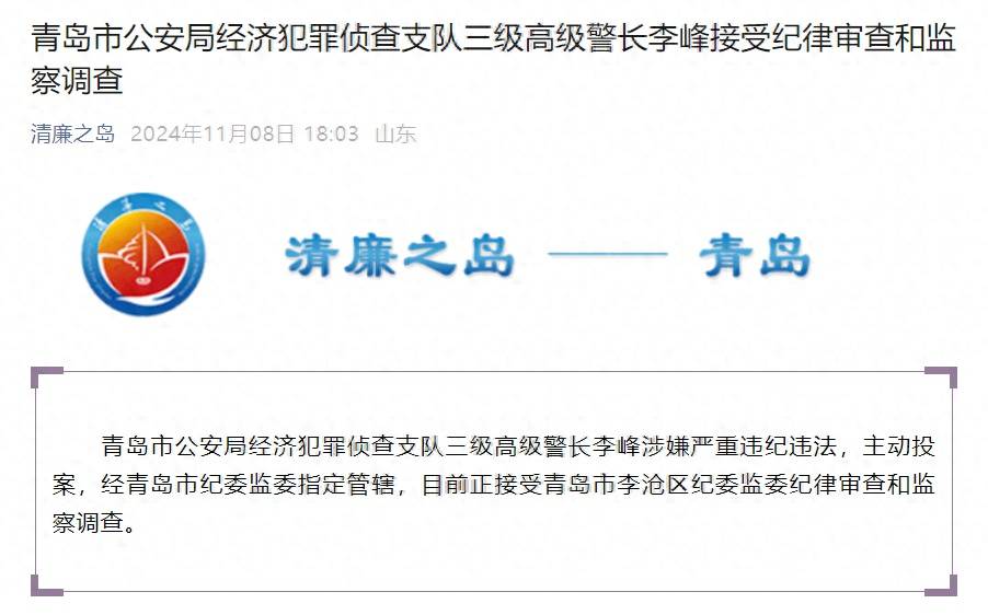 青岛市公安局经济犯罪侦查支队三级高级警长李峰接受审查调查