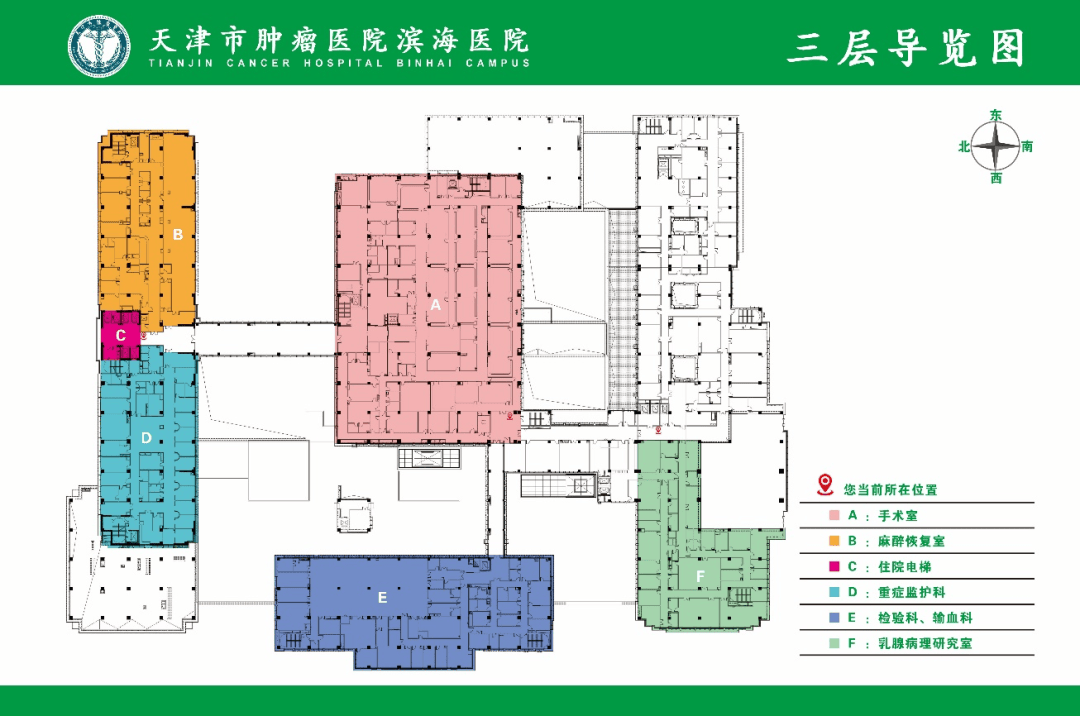 山东省肿瘤医院挂号(山东省肿瘤医院挂号预约平台官网)