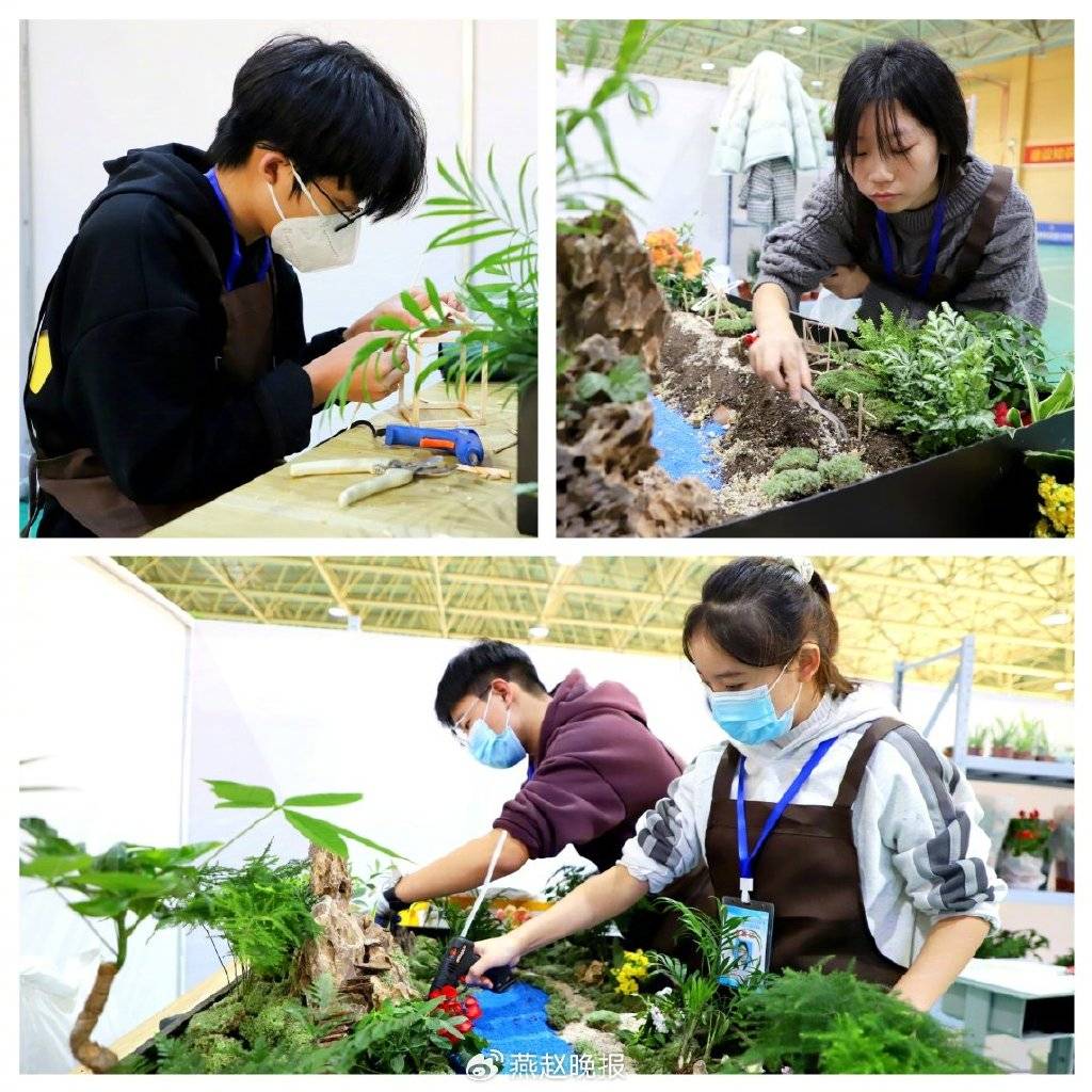 “太行秋韵”美 学子竞争辉—园林微景观设计与制作JN江南下载技能大赛圆满举办(图1)