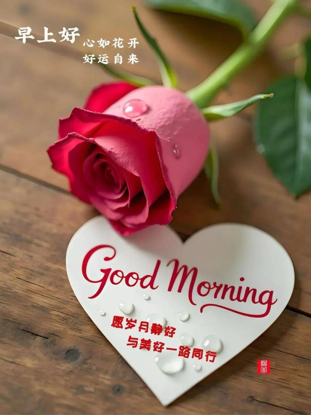 今日最新早上好问候语精选大全,问声早上好,事事都如意!