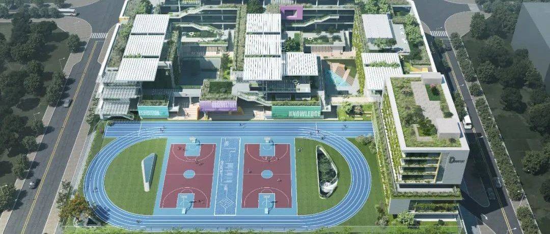 重磅!大沙井又新建2所九年一贯制学校!都在新桥共提供4950个学位!_用房_项目_配套