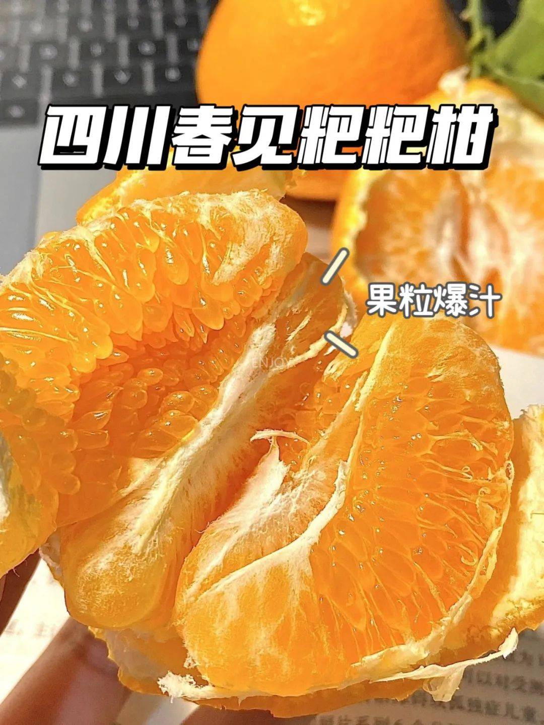 春见耙耙柑品牌图片