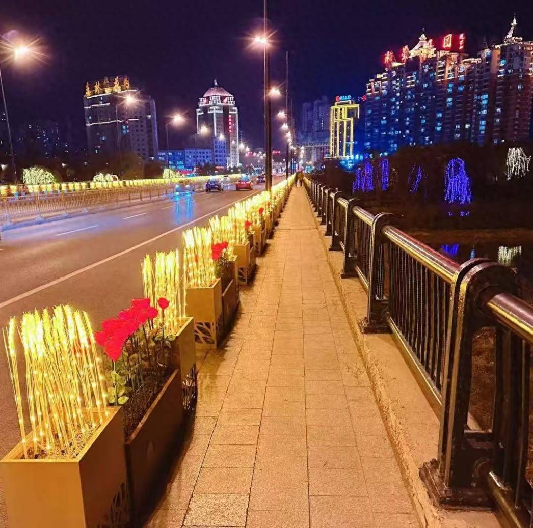 吉林市冬季夜景照片图片