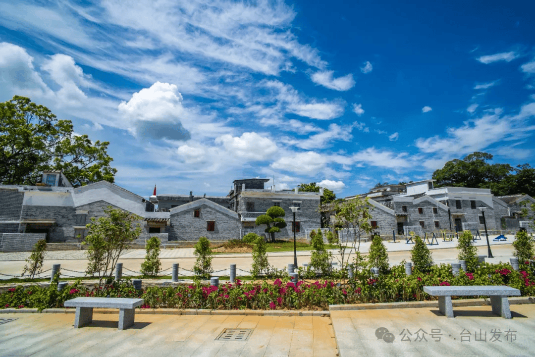 台山这条村入选省"美丽庭院"特色村_桂水村_发展_美乡村