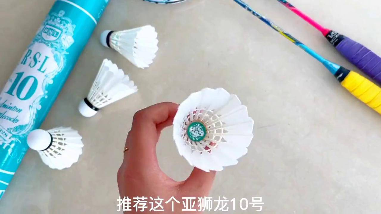 口粮球,耐打!羽毛球 亚狮龙10号