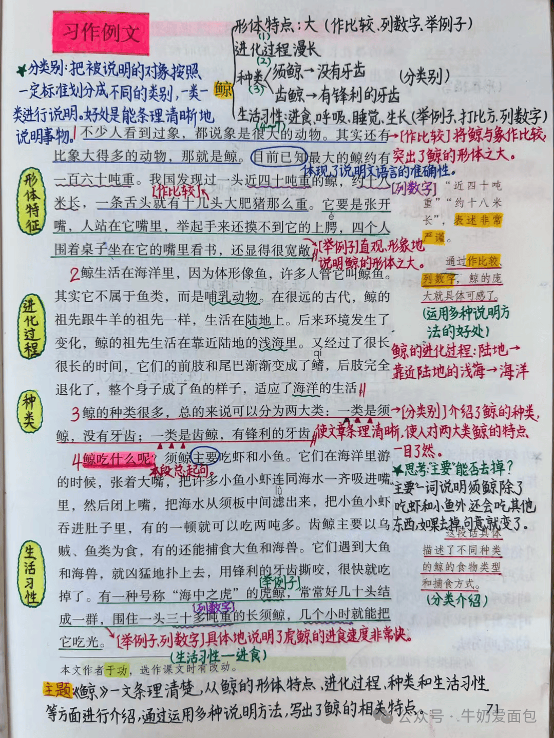五年级语文上册,第五单元课堂笔记及知识点总结,收藏复习!_园地_海力布_牛郎织女