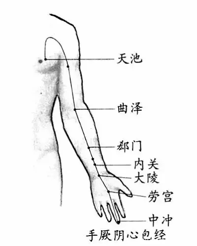 每日小知识 救命的心包经