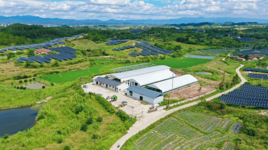 南丰:特色养殖激活乡村振兴"内生动力"