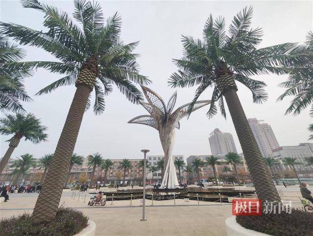 实探“山西清徐违规花上千万建景观”：剩100多棵仿真椰树已暂停拆移
