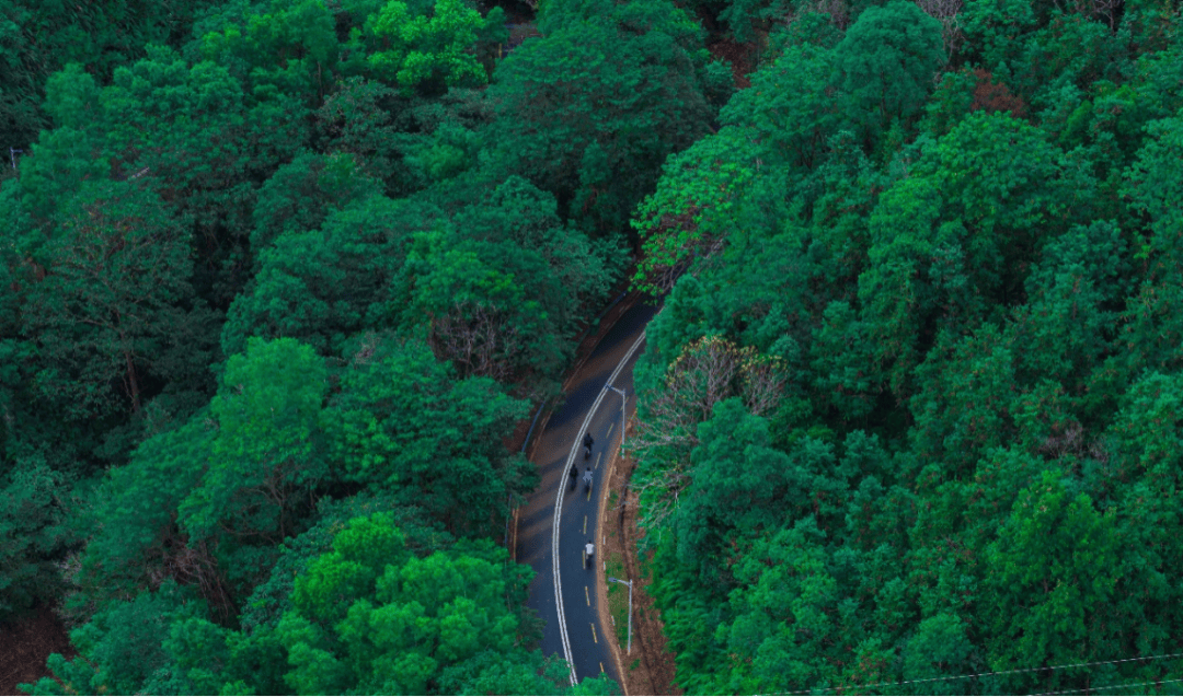 河源市青年人才交流联谊活动圆满举办