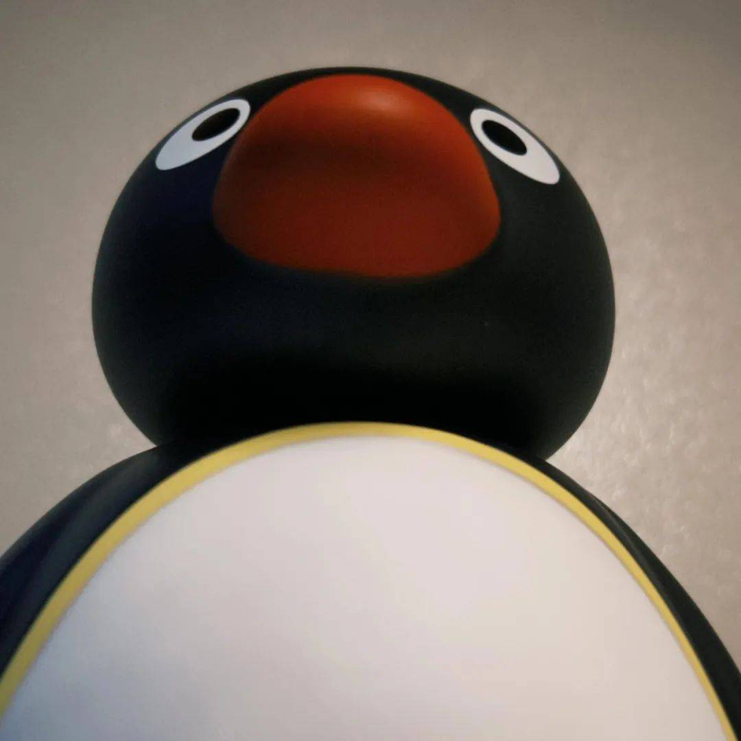 丨pingu企鹅头像