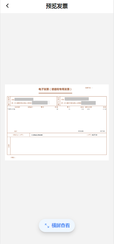 税票电子版图片