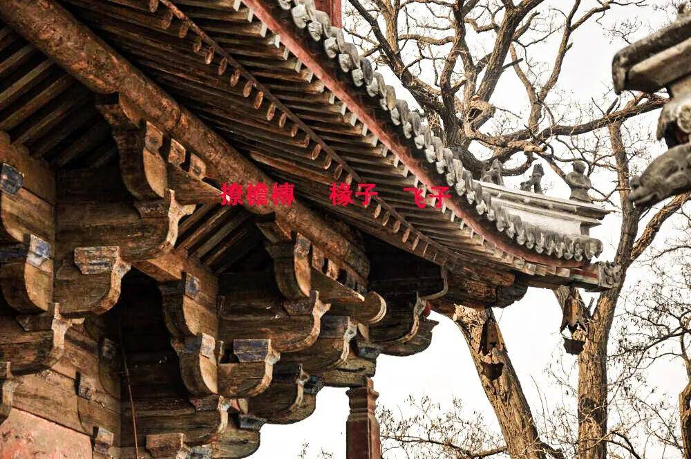 古建筑中椽木的分类与安装、大小连檐、撩檐槫!_椽子_构件_屋面