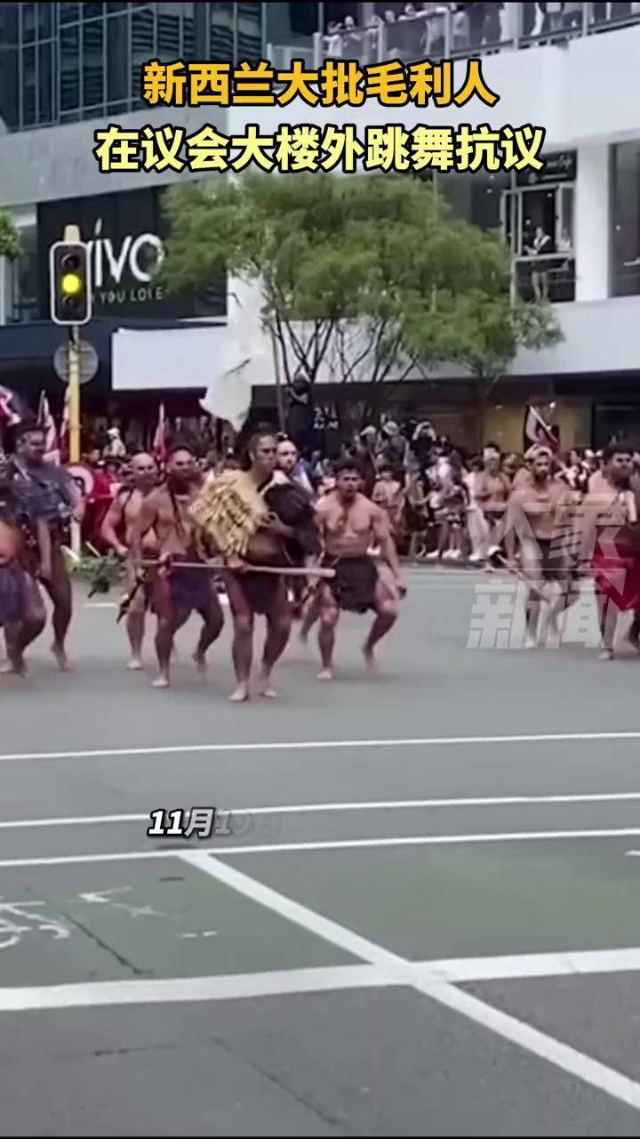 现场!新西兰大批毛利人,在议会大楼外跳舞抗议