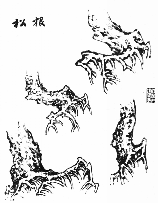 根会延伸得很长,很远,用笔苍劲粗壮,墨色比松干略浓些,能对整株松树起