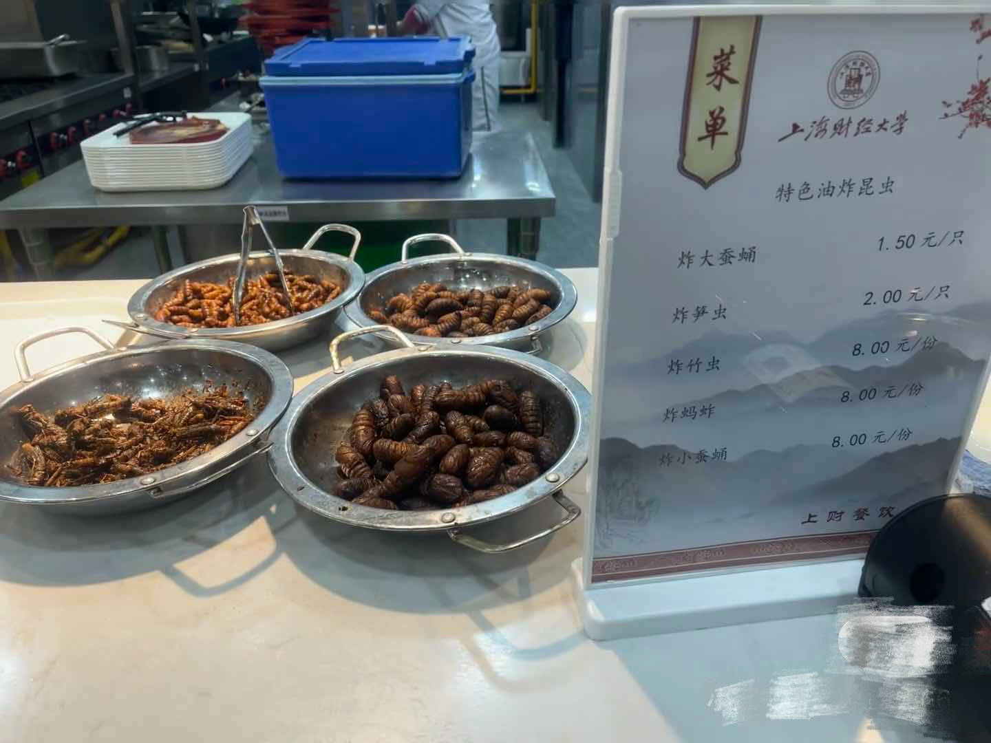 上财食堂推出 有老师称不敢吃 有云南同学点了3种 油炸昆虫