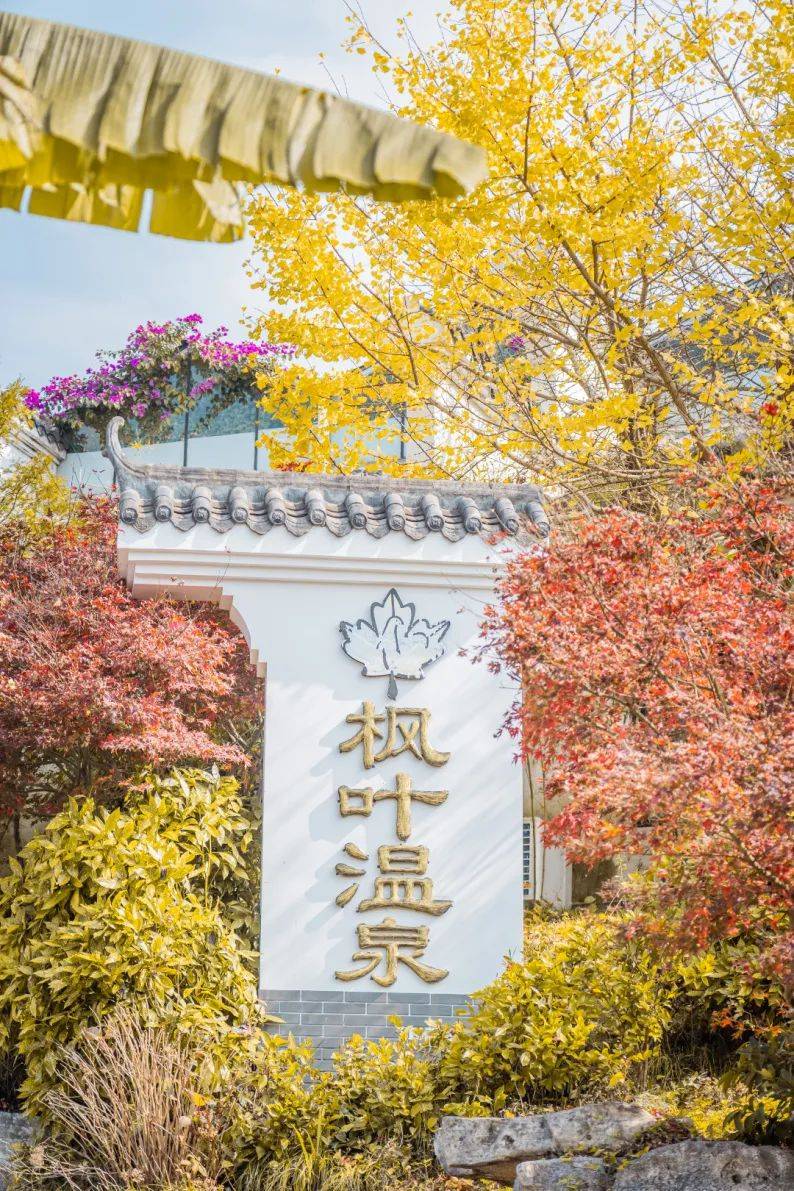 99地址:贵阳市乌当区新堡乡王岗村枫叶谷温泉04在这里泡温泉太舒服