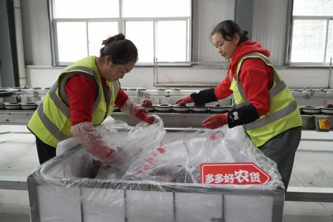 1500亿！刷新纪录！拼多多买家见证历史