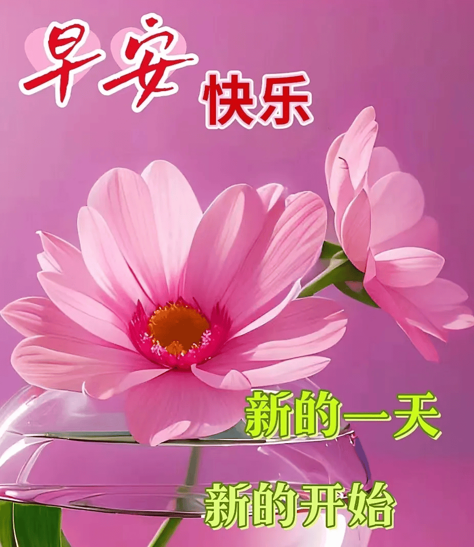 最美早上好祝福图片