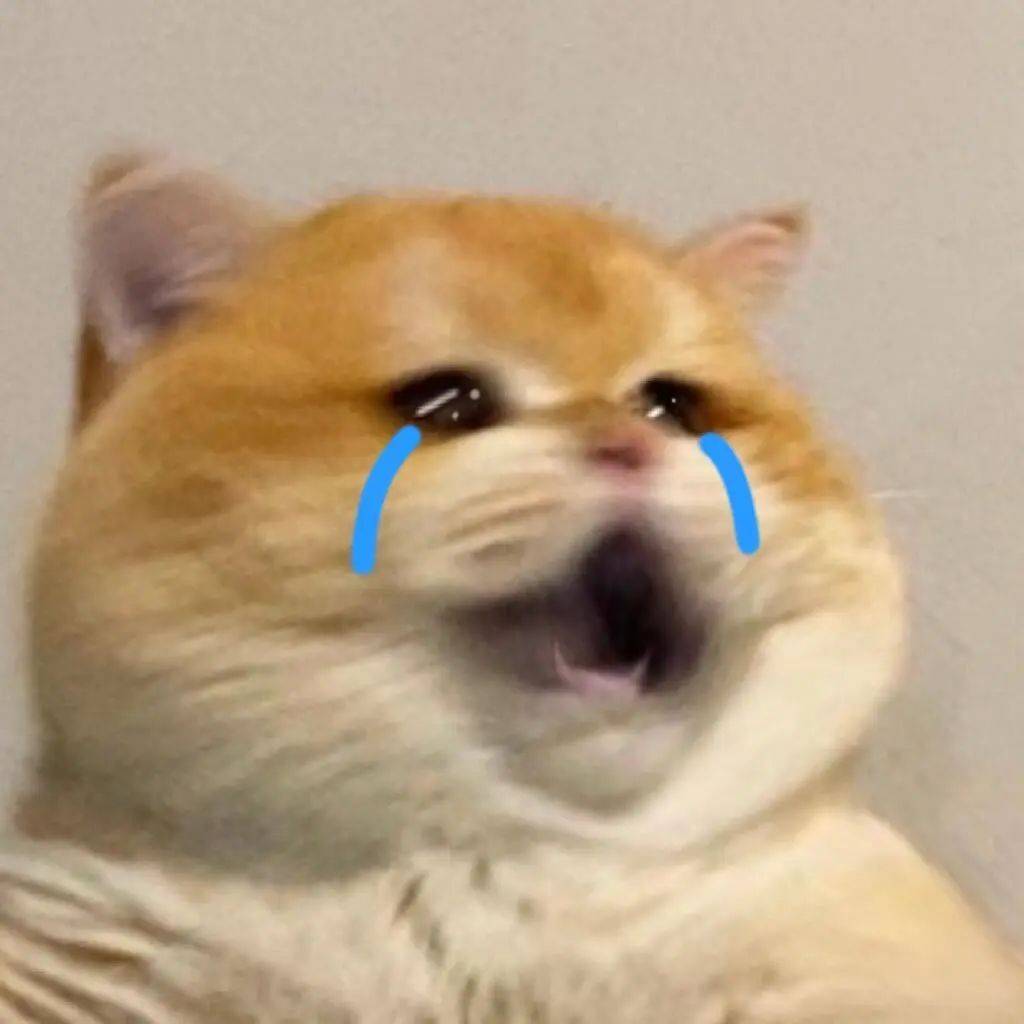 搞怪猫猫表情包