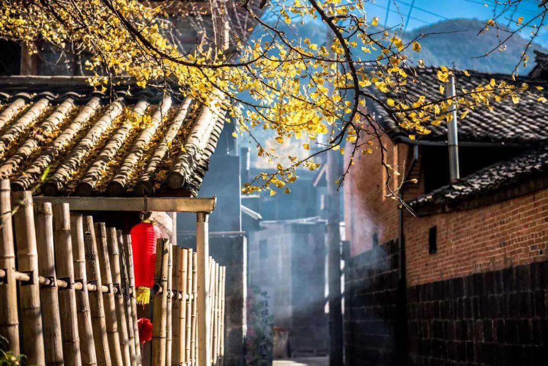 图片[48]-十二月最佳旅行地非它莫属，看银杏逛古城吃美食，现在去正好！ -华闻时空