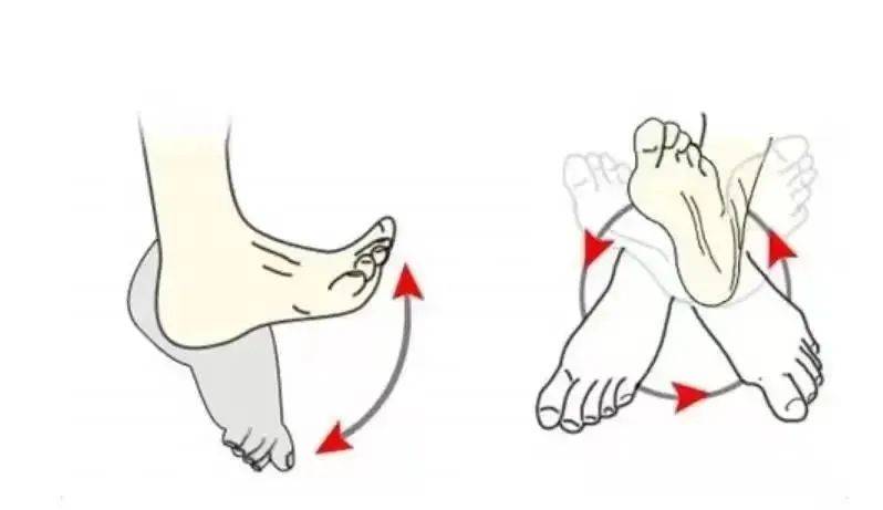 手足行走锻炼方法图图片