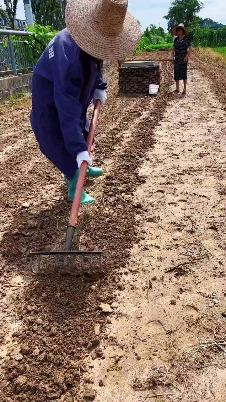 九齿钉耙 松土翻地搂草 三农工具