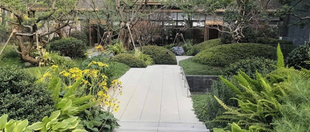 项目回访——招商林屿境_花卉_植物_微风