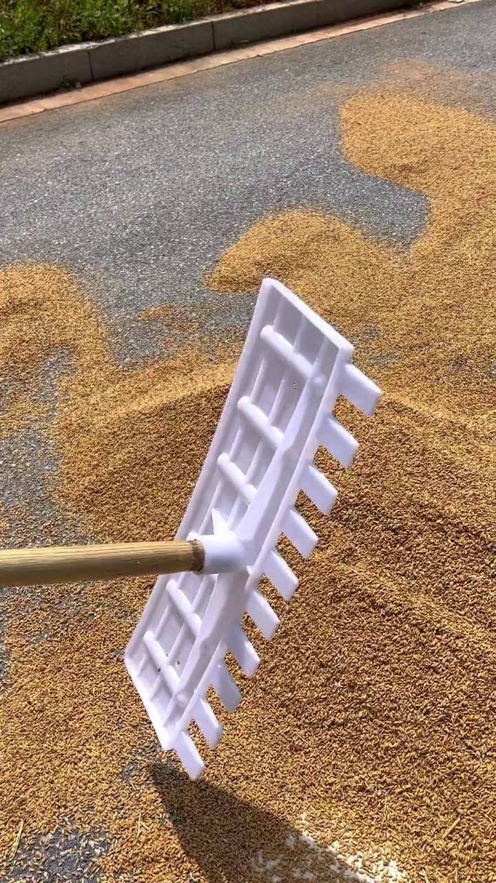 小麦稻子翻嗮耙子 服务三农支持三农 助力三农